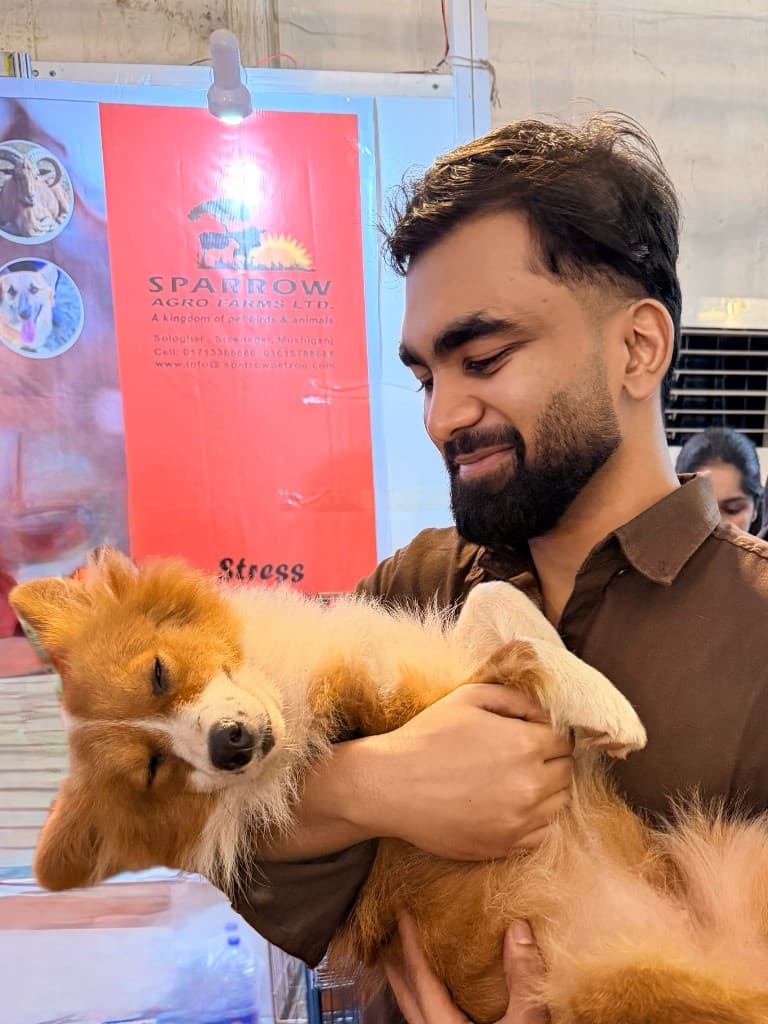 stress relief. prescribed by no doctor. highly effective.